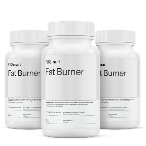 FitSmart Fat Burner 3 Bottles